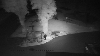 Snímek    13.9.2025 v 21:31