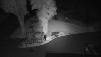 Snímek    13.9.2025 v 21:35