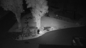 Snímek    13.9.2025 v 21:50