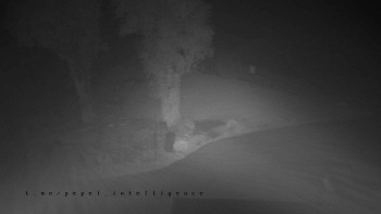 Snímek    15.9.2025 v 05:15