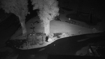 Snímek    15.9.2025 v 20:35