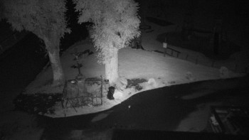 Snímek    15.9.2025 v 21:55