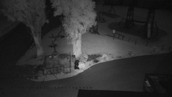 Snímek    16.9.2025 v 19:35