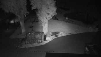 Snímek    16.9.2025 v 20:01