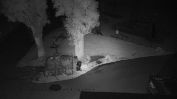 Snímek    18.9.2025 v 20:35