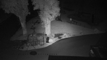 Snímek    19.9.2025 v 00:50