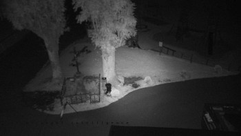 Snímek    29.9.2025 v 22:55