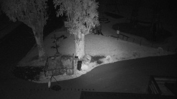 Snímek    14.10.2025 v 03:55