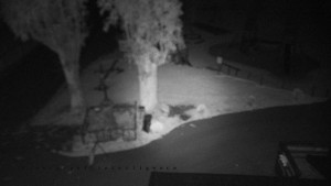 Horský hotel Čarták na Soláni - Pohled na Amfiteatr - 17.10.2025 v 04:55