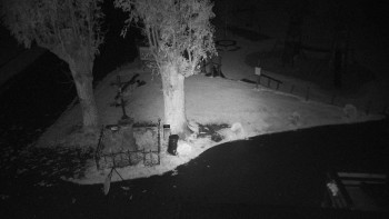 Snímek    18.10.2025 v 03:35