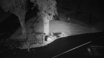 Snímek    18.10.2025 v 05:20