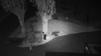 Snímek    20.10.2025 v 04:46