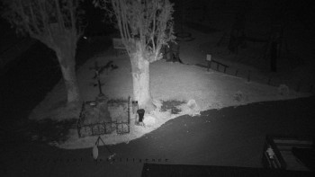 Snímek    20.10.2025 v 19:01