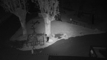 Snímek    20.10.2025 v 19:05