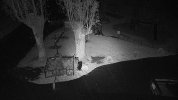 Snímek    22.10.2025 v 19:05