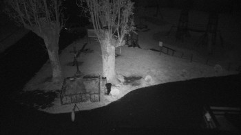 Snímek    23.10.2025 v 06:35