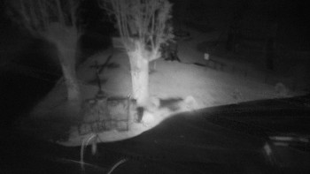Snímek    23.10.2025 v 19:20