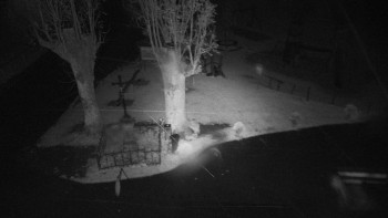 Snímek    23.10.2025 v 20:10