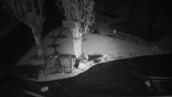 Snímek    24.10.2025 v 03:35