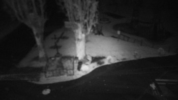 Snímek    24.10.2025 v 04:31