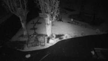 Snímek    24.10.2025 v 05:31