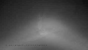 Snímek    27.10.2025 v 17:01