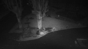 Snímek    27.10.2025 v 19:56