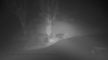 Snímek    27.10.2025 v 20:01