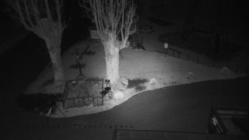 Snímek    31.10.2025 v 03:50