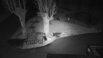 Snímek    31.10.2025 v 21:46