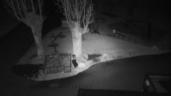 Snímek    31.10.2025 v 22:46