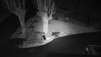 Snímek    31.10.2025 v 23:50