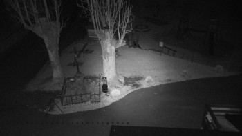 Snímek    1.11.2025 v 19:31