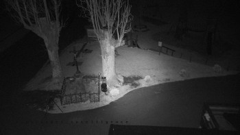 Snímek    2.11.2025 v 03:31