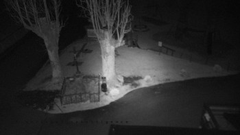 Snímek    2.11.2025 v 05:05