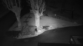 Snímek    2.11.2025 v 05:20