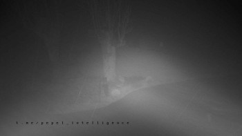 Snímek    3.11.2025 v 03:40