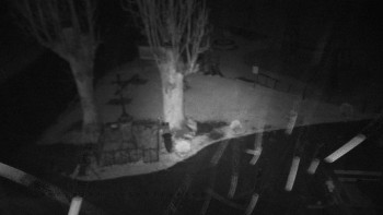 Snímek    3.11.2025 v 04:05