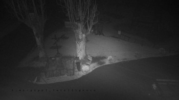 Snímek    3.11.2025 v 18:16