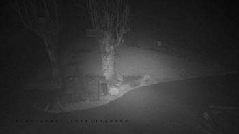 Snímek    3.11.2025 v 20:01