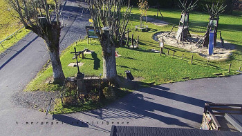 Snímek 6.11.2025 v 08:31