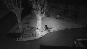 Snímek 7.11.2025 v 04:55