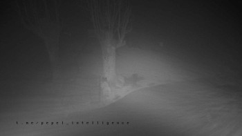 Snímek    10.11.2025 v 17:05