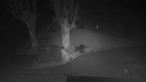 Horský hotel Čarták na Soláni - Pohled na Amfiteatr - 14.11.2025 v 01:55 Horský hotel Čarták na Soláni - Pohled na Amfiteatr - 14.11.2025 v 01:55