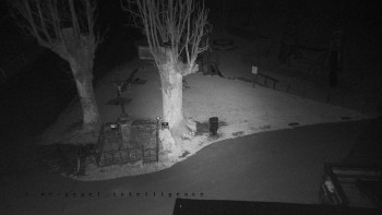 Snímek    14.11.2025 v 20:51