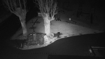 Snímek 16.11.2025 v 20:31