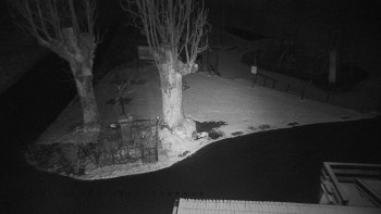 Snímek 18.11.2025 v 03:55