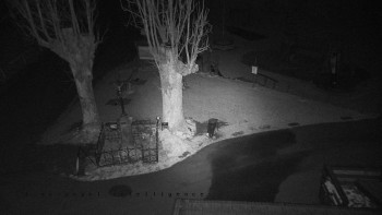 Snímek 18.11.2025 v 17:25