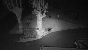 Snímek 19.11.2025 v 22:35