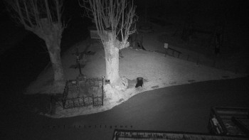 Snímek 20.11.2025 v 00:15